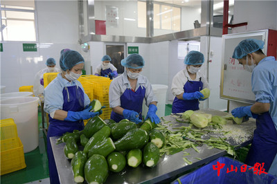 五一我在岗(11)中山蔬菜企业:每天70吨蔬菜供港澳